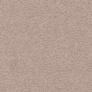 Axminster carpets- Devonia Fossil beach