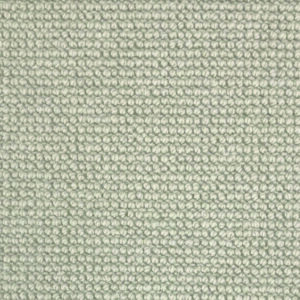 Loop pile tufted carpet in beige-brown